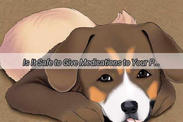 Is It Safe to Give Medications to Your Pooch After a Shot A Comprehensive Guide